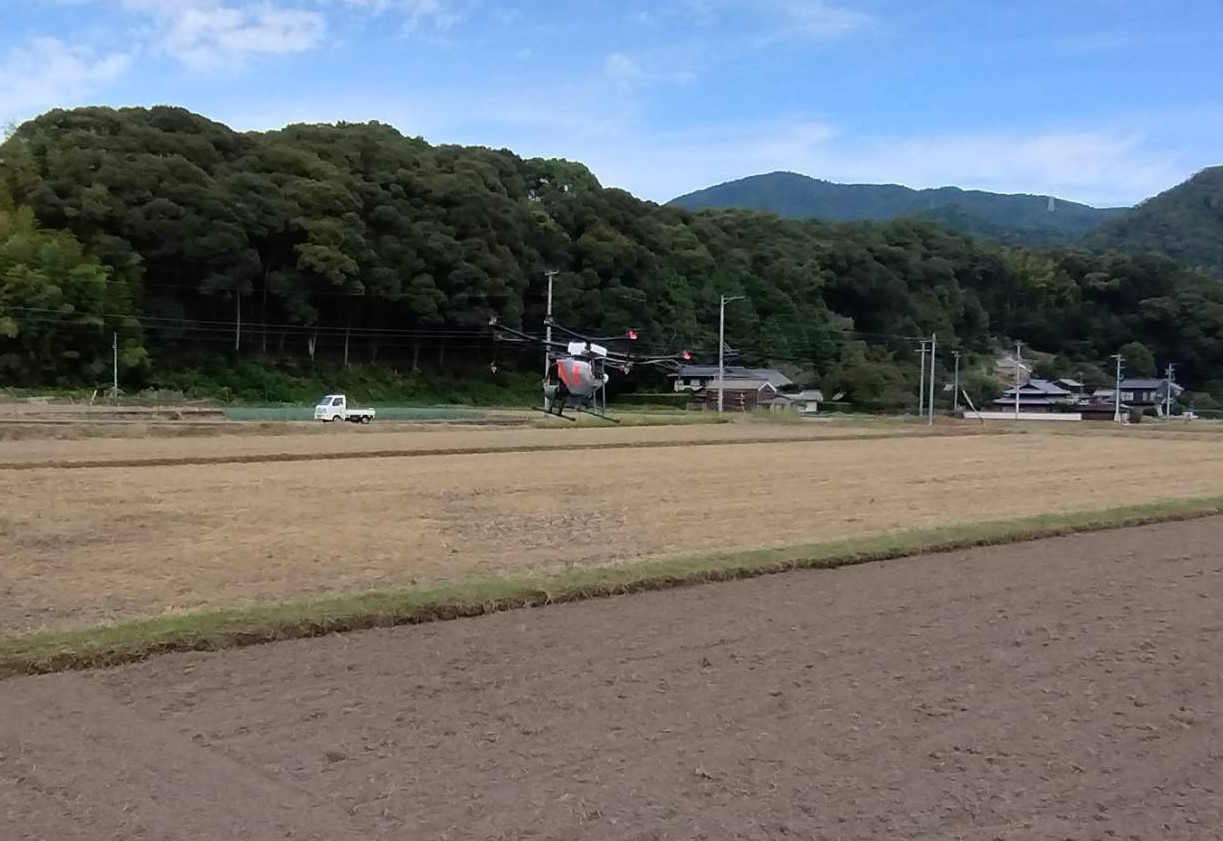 れんげの種をまきました