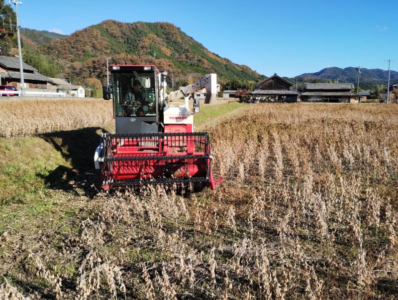 大豆の収穫が始まりました