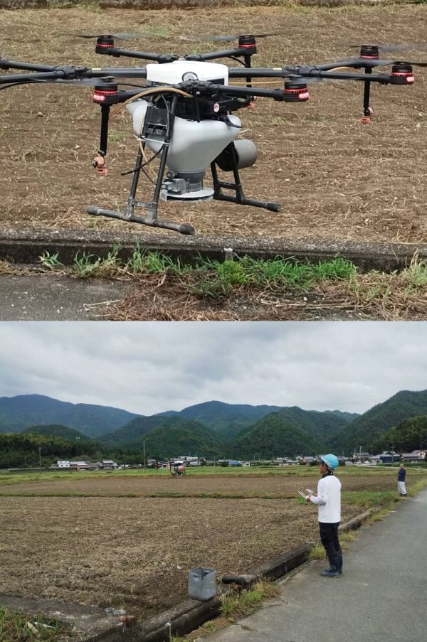 れんげの種を蒔きました