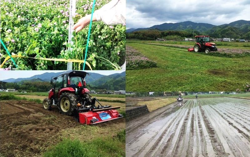 田植えをしました　