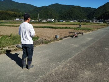 ＜れんげの播種＞