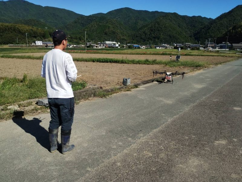 ＜れんげの播種＞