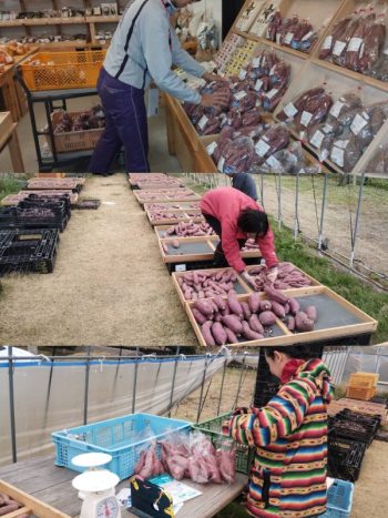 <多気町ふるさとワーキングホリデー2025に事業者として参加致しました＞