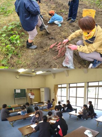 ＜さつまいも掘り体験を実施しました＞