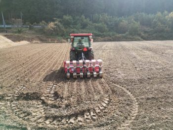 ＜麦の播種を行いました＞