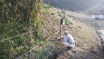 ＜電気柵のメンテナンスをしました＞